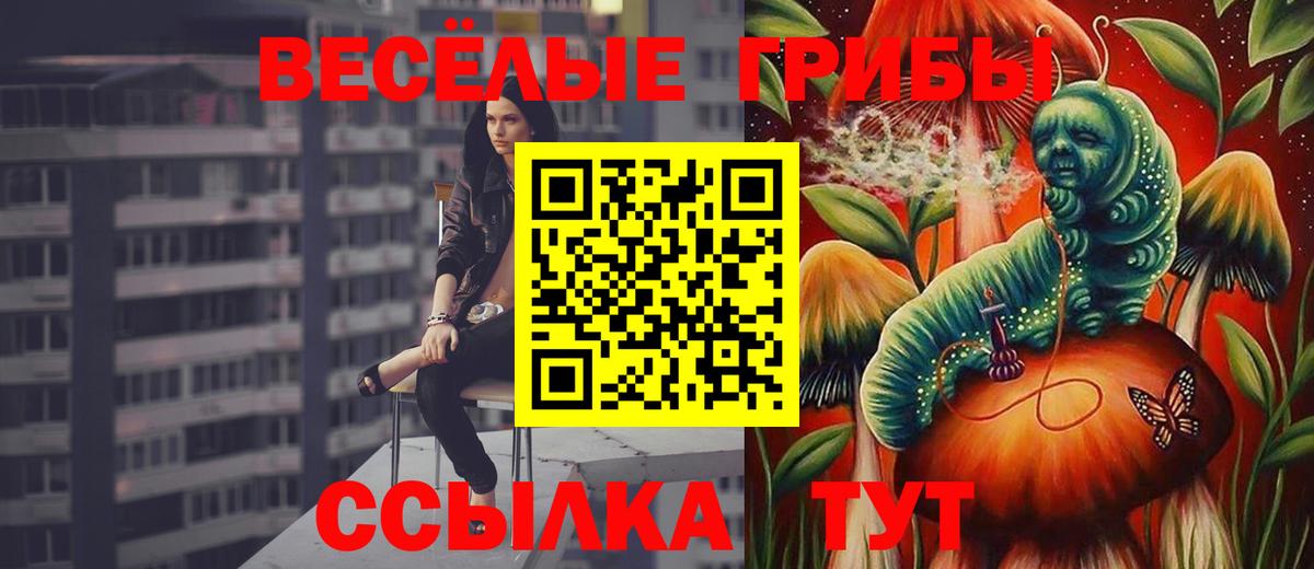 Псилоцибиновые грибы Cubensis  Вход с VPN  Галлюциногенные грибы прущие грибы  Ангарск 