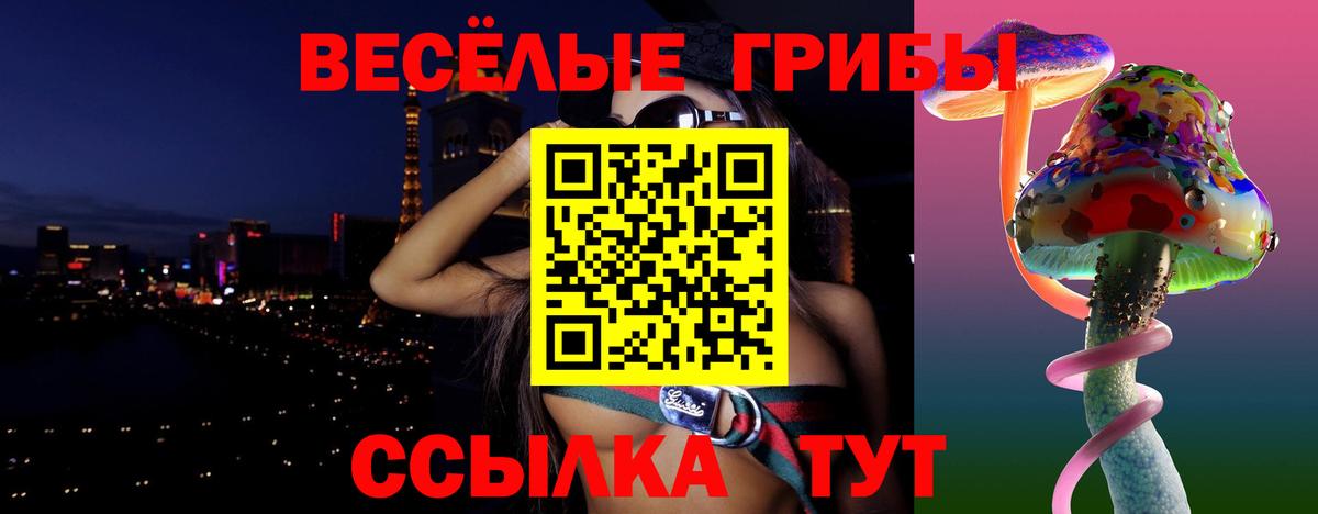Псилоцибиновые грибы Psilocybe Ангарск